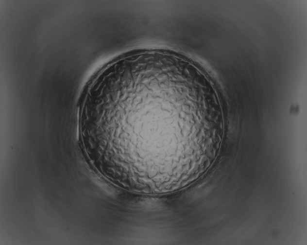 X0000091511175200708311221