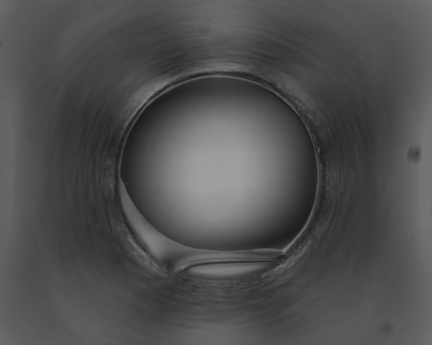 X0000091511177200708311221