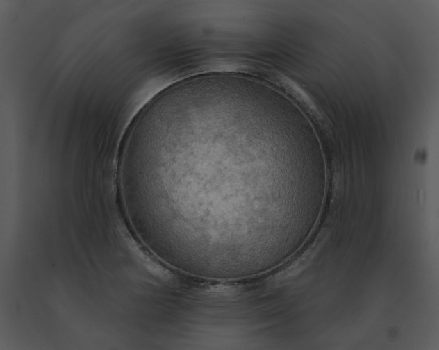 X0000091511178200708311221