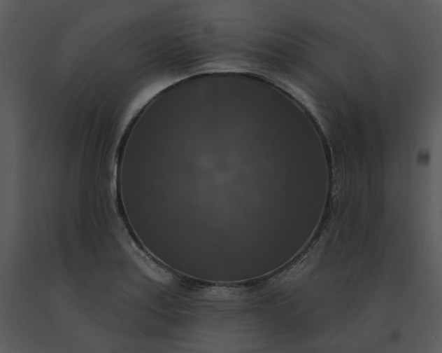 X0000091511179200708311221