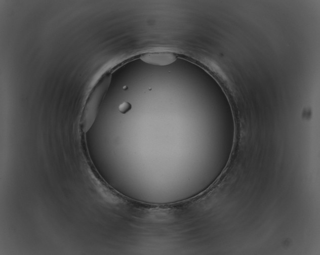 X0000091511181200708311221