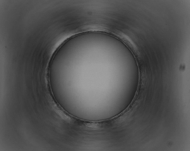 X0000091511182200708311221