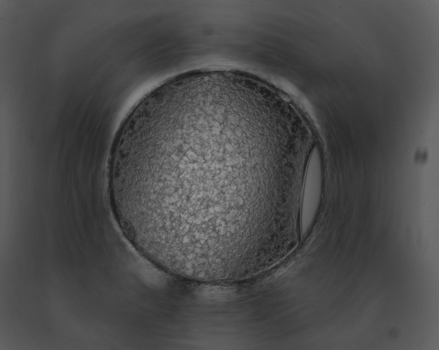 X0000091511183200708311221