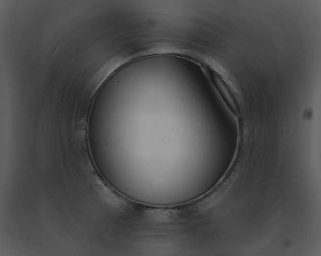 X0000091511185200708311221