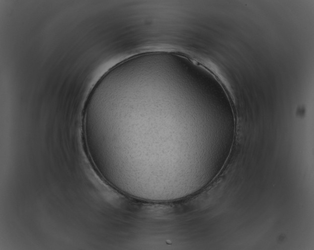 X0000091511187200708311221