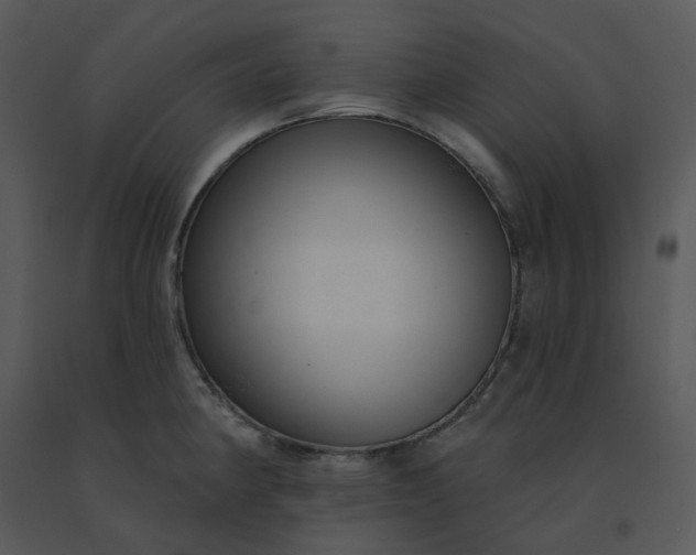 X0000091511190200708311221