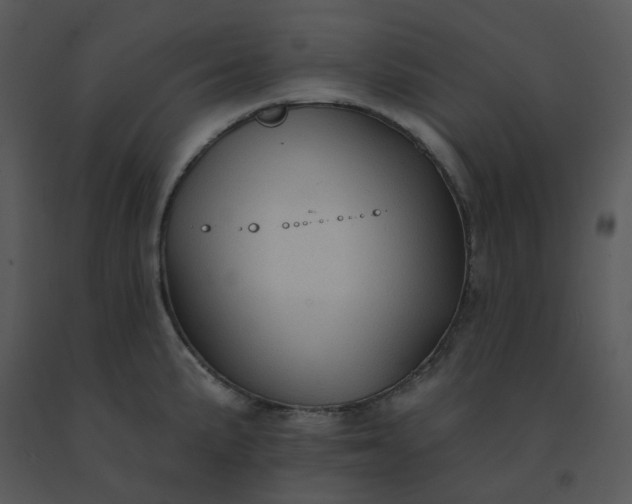 X0000091511191200708311221