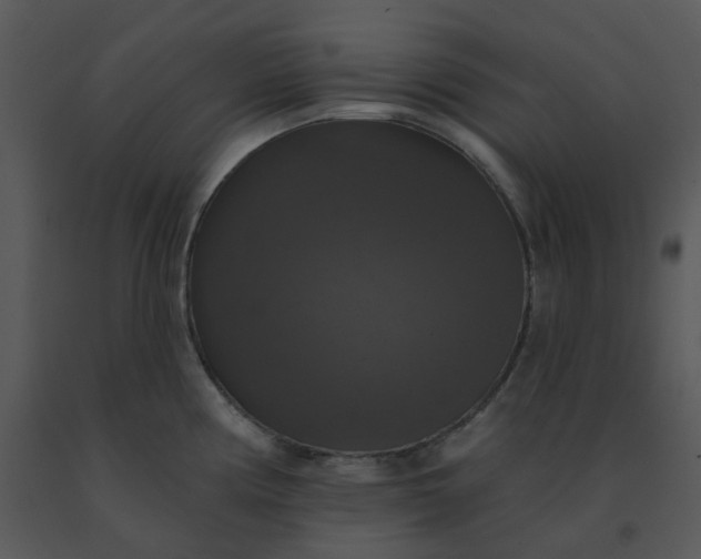 X0000091511194200708311221