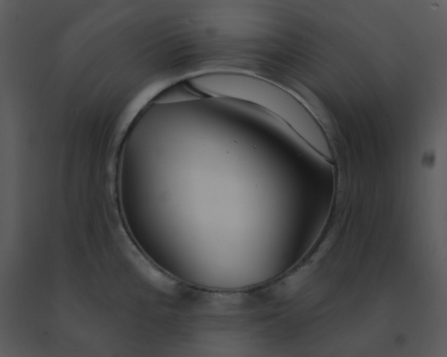 X0000091511196200708311221