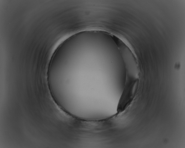 X0000091511197200708311221