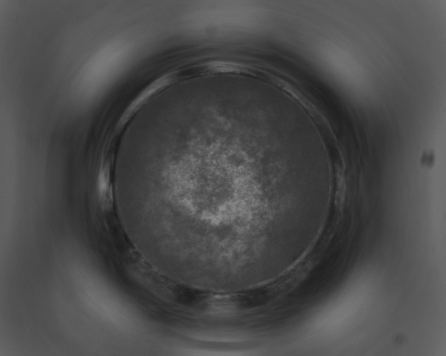 X0000091511198200708311221