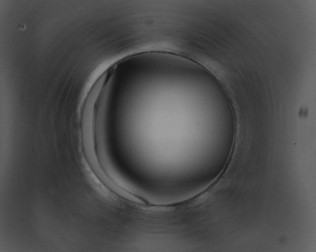 X0000091511200200708311220