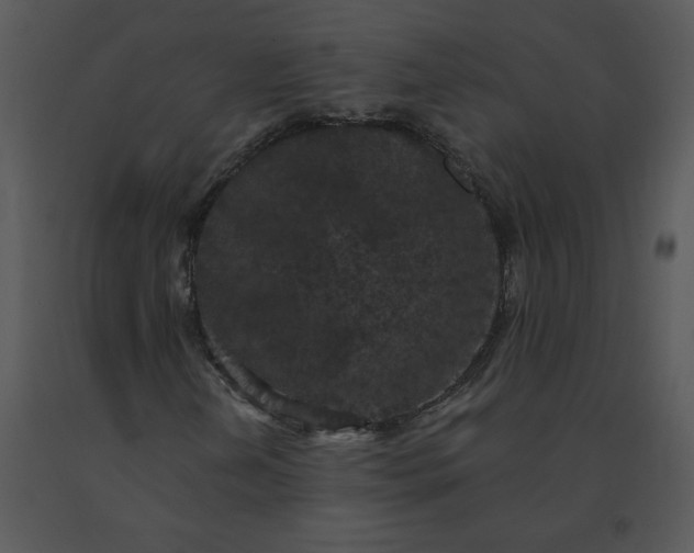 X0000091511202200708311220