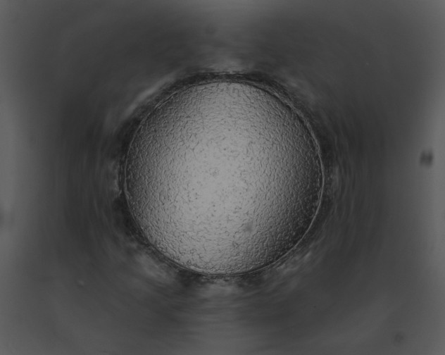 X0000091511205200708311220