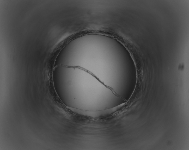 X0000091511206200708311220