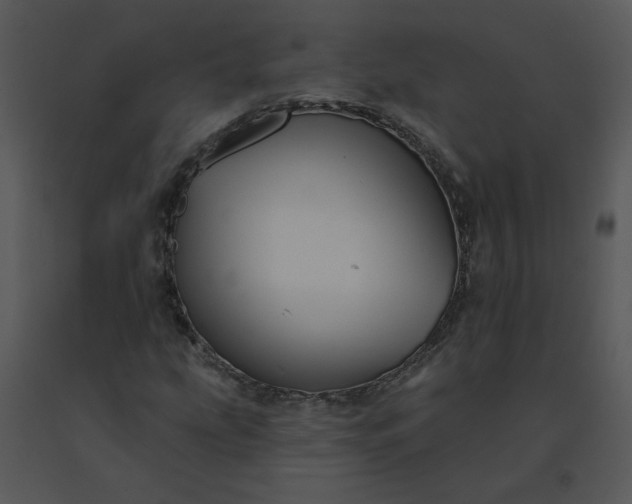 X0000091511207200708311220