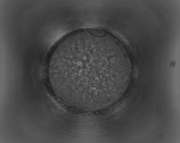 X0000091511208200708311220