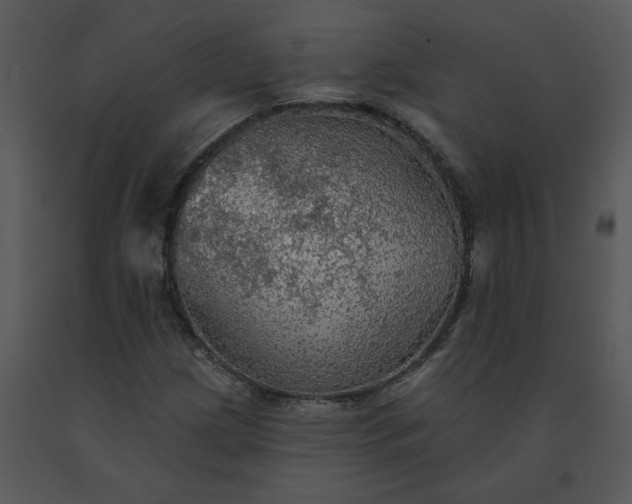 X0000091511209200708311220