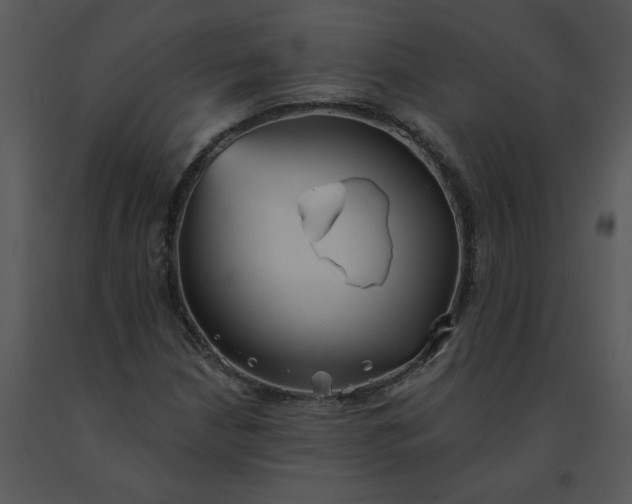 X0000091511210200708311220