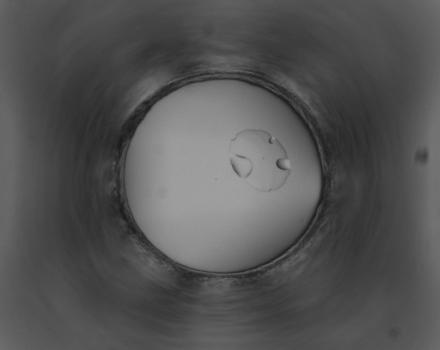 X0000091511211200708311220