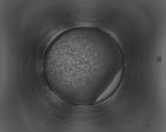 X0000091511212200708311220