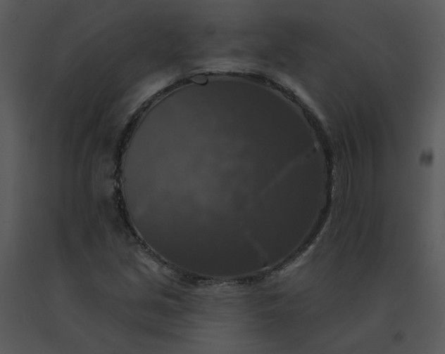 X0000091511213200708311220