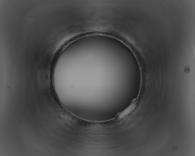 X0000091511214200708311220