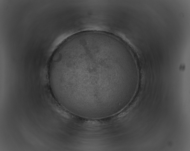 X0000091511215200708311220