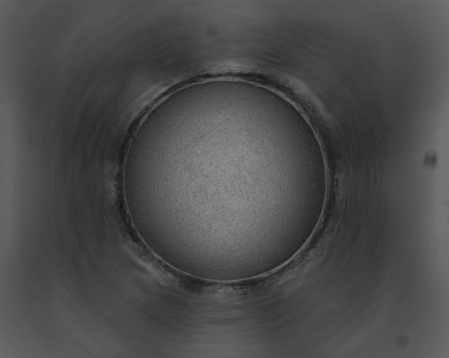 X0000091511217200708311220