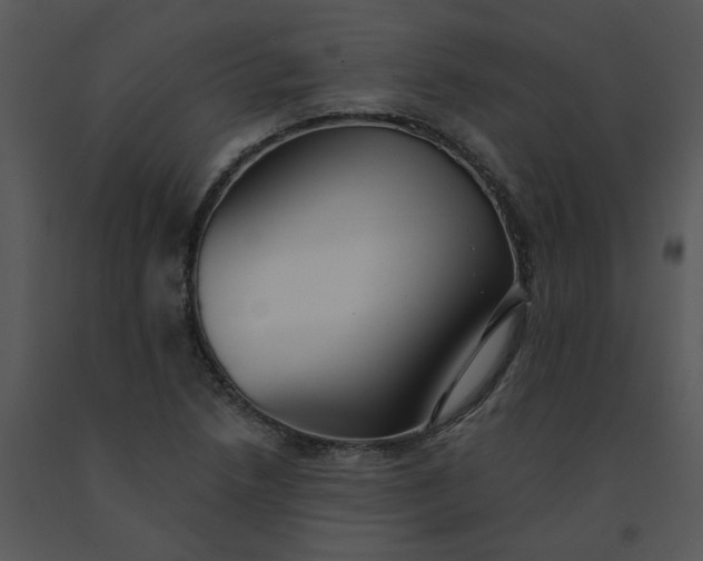 X0000091511218200708311220