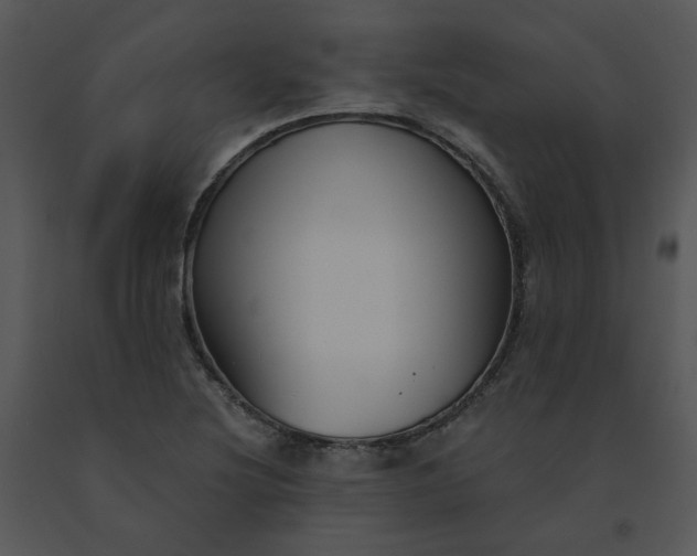 X0000091511220200708311220