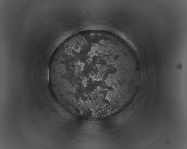 X0000091511221200708311220