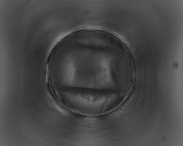 X0000091511223200708311220