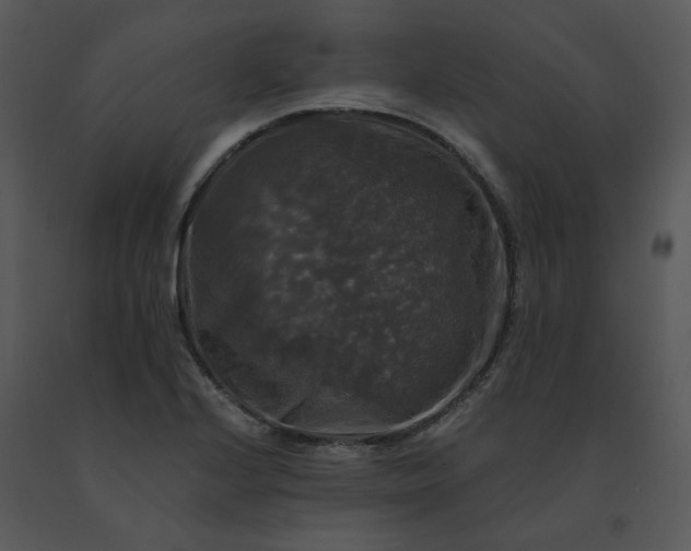 X0000091511224200708311220