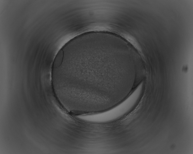 X0000091511226200708311220