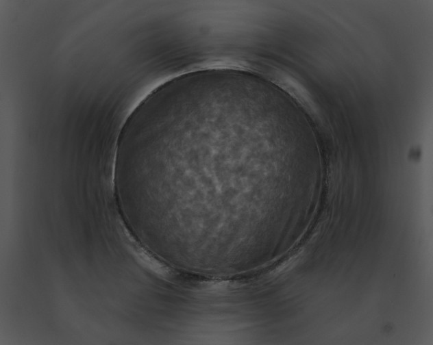 X0000091511228200708311220