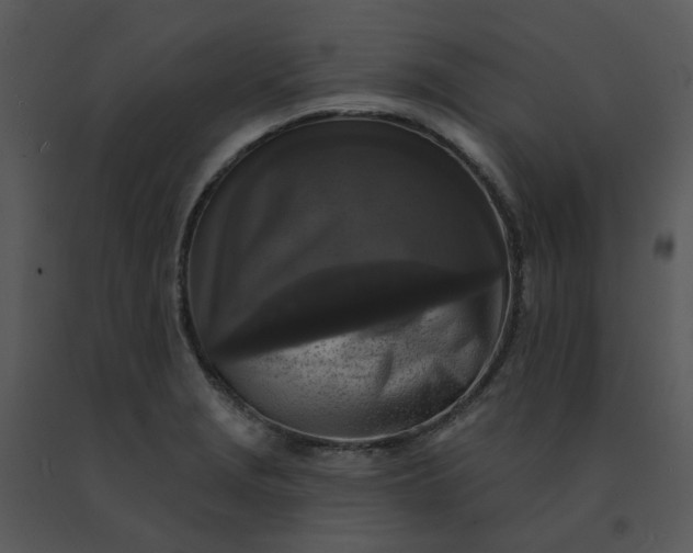 X0000091511229200708311220