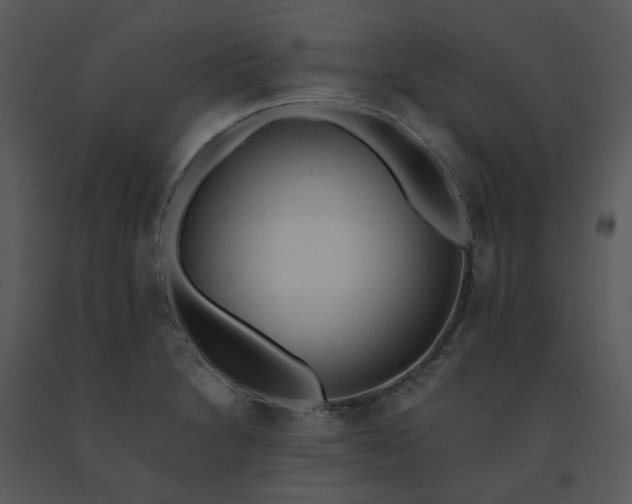 X0000091511230200708311220