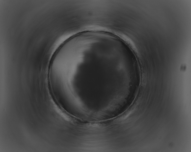 X0000091511231200708311220