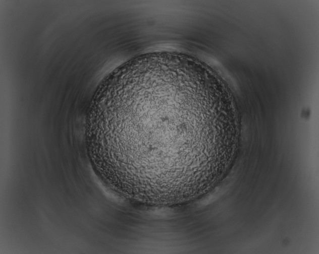 X0000091511233200708311220