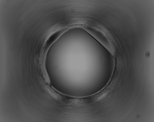 X0000091511234200708311220