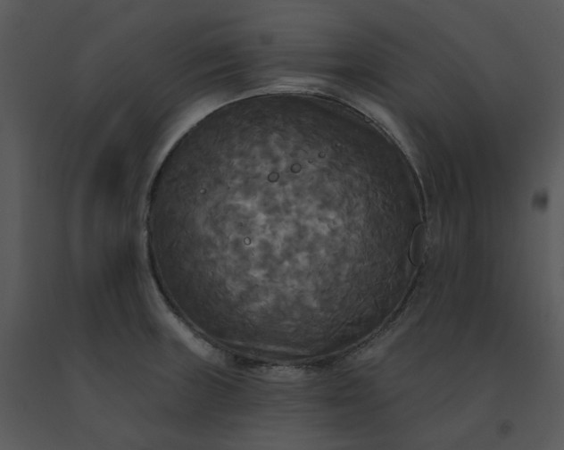 X0000091511235200708311220