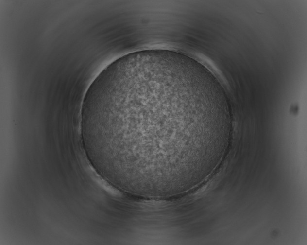 X0000091511236200708311220