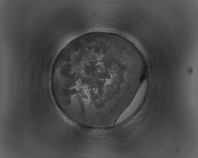 X0000091511237200708311220