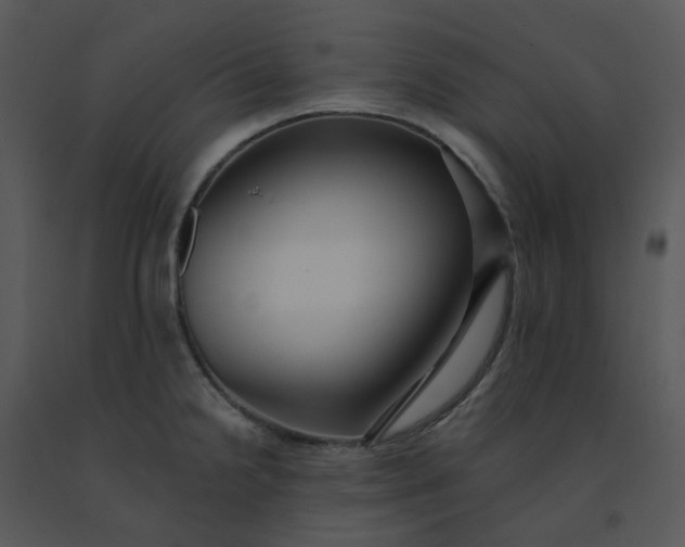 X0000091511238200708311220