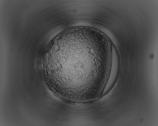 X0000091511241200708311220