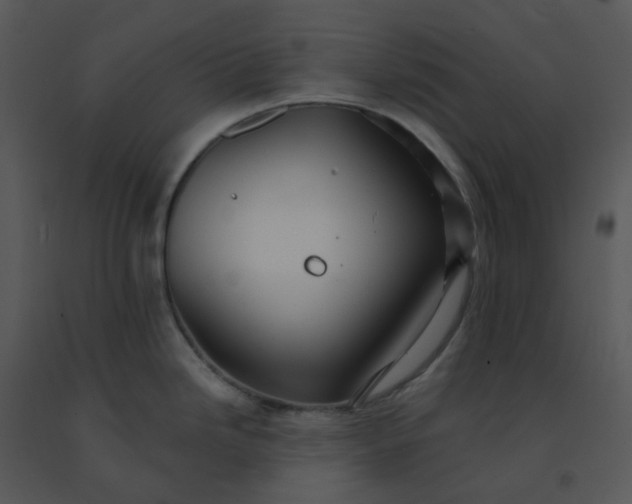 X0000091511246200708311220