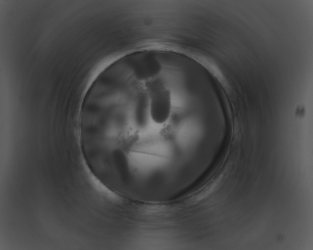 X0000091511247200708311220