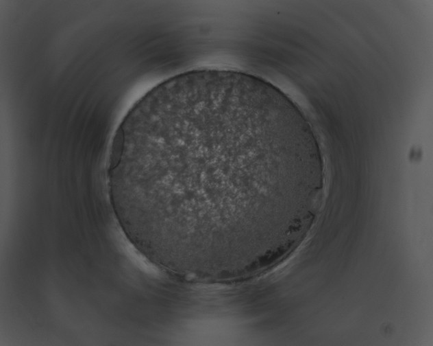 X0000091511248200708311220