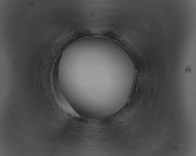 X0000091511249200708311220